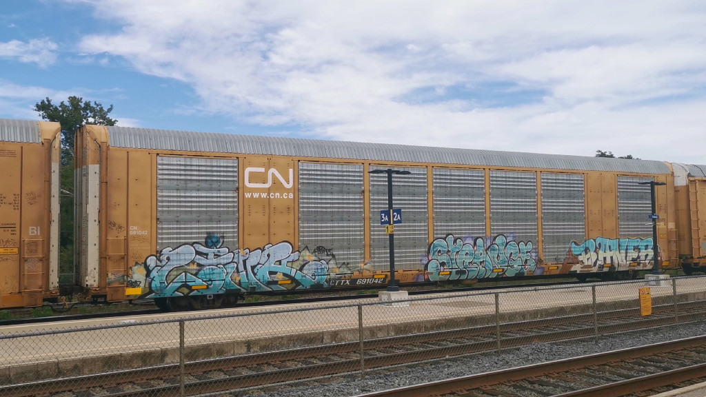 CN 691042 (Body) CTTX 691042 (Flat)